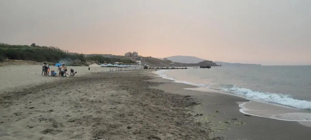 img_id_1236285.webp