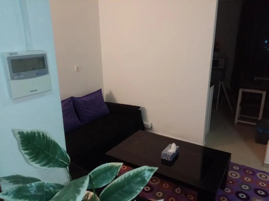 img_id_1237938.webp