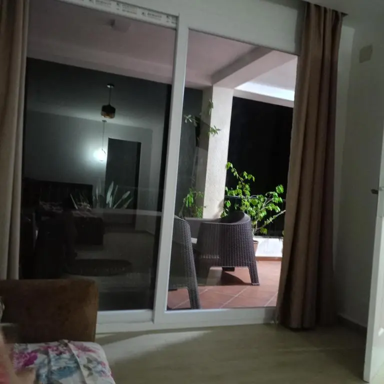 img_id_1238433.webp