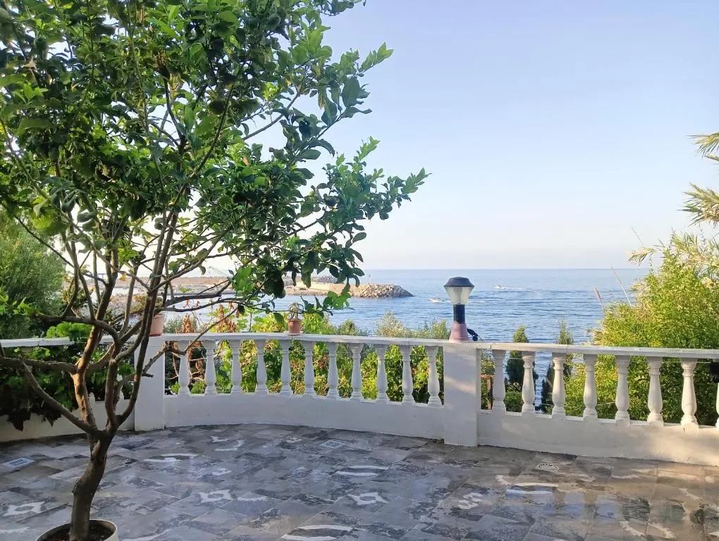 img_id_1238484.webp