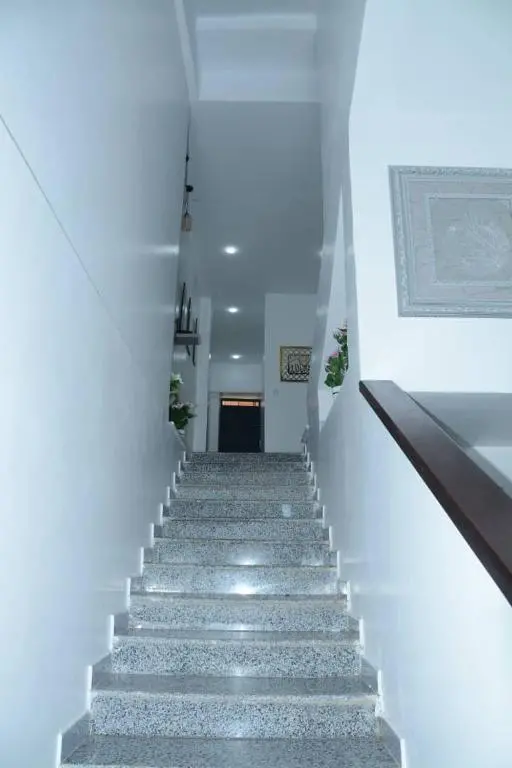 img_id_1238766.webp