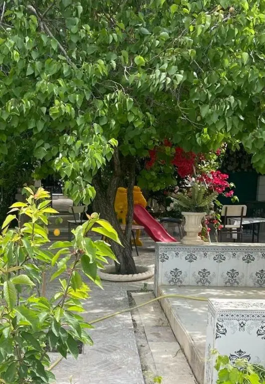 img_id_1240035.webp