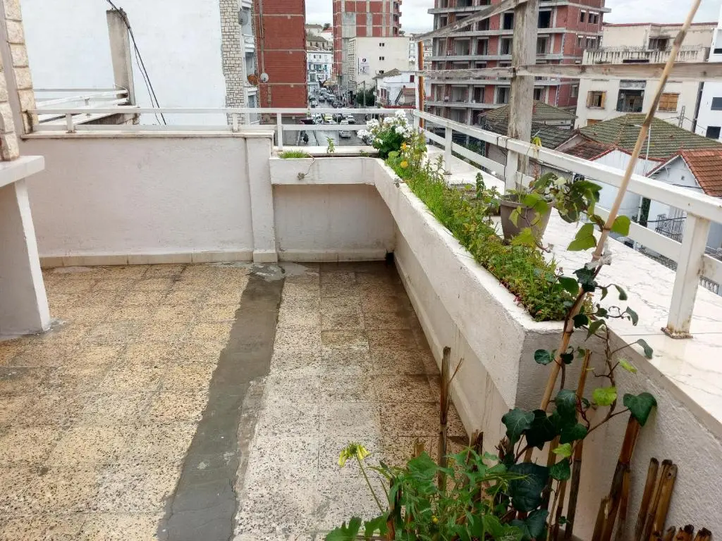 img_id_1242439.webp