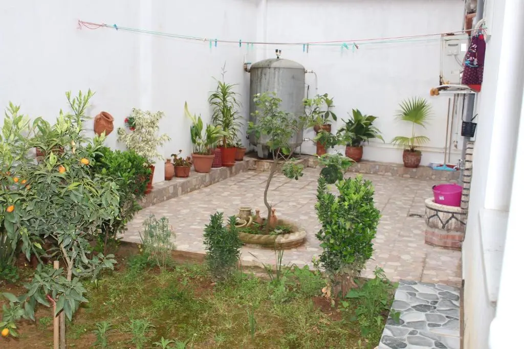img_id_1249307.webp