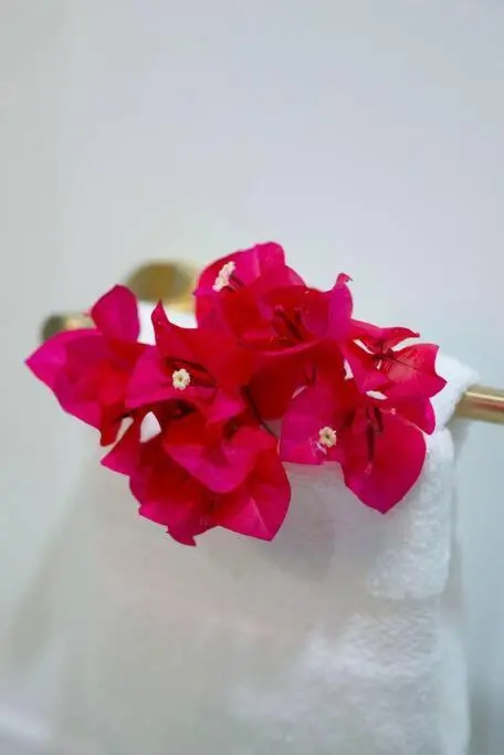 img_id_1264121.webp