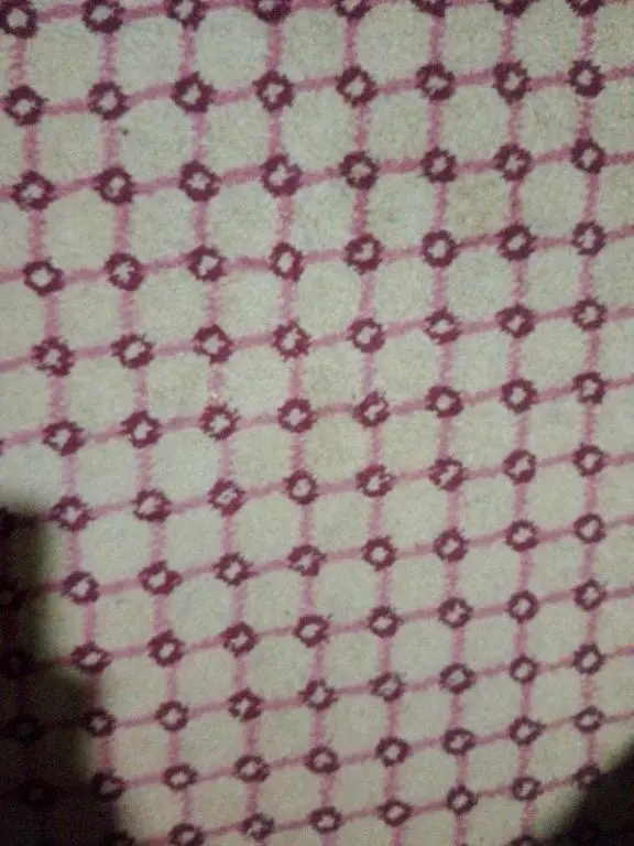 img_id_1291498.webp
