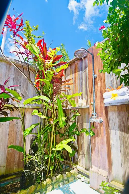 img_id_1295822.webp