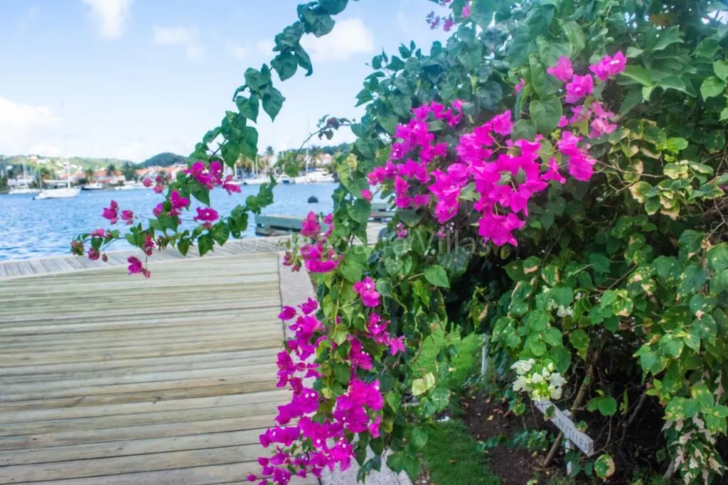 img_id_1296092.webp