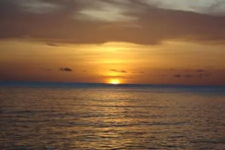 img_id_1296411.webp