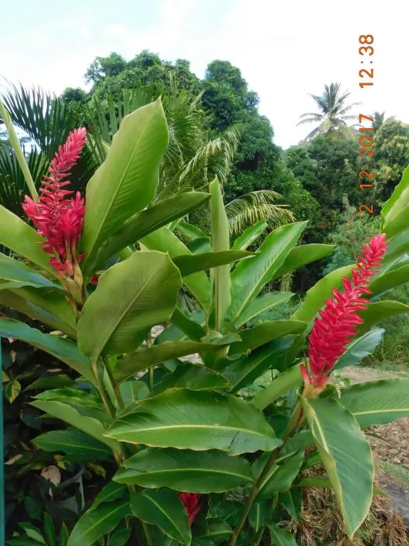 img_id_1297904.webp