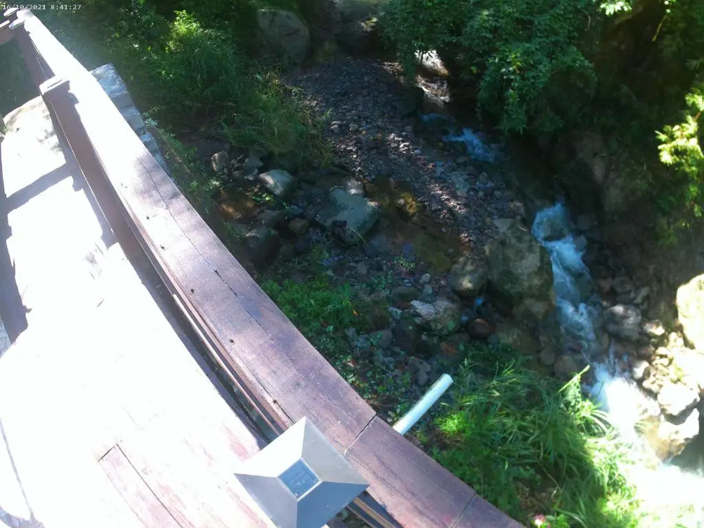 img_id_1299845.webp