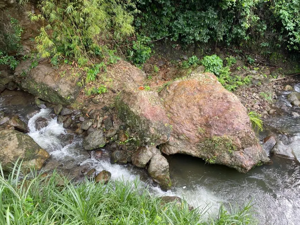 img_id_1299862.webp