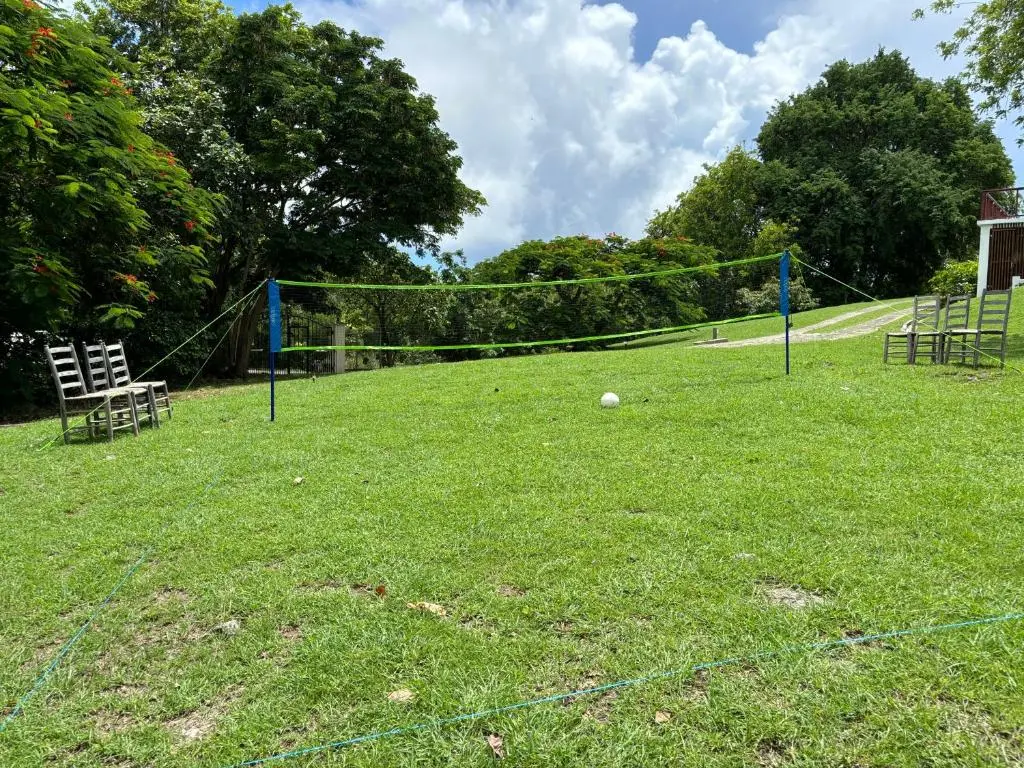 img_id_1304834.webp