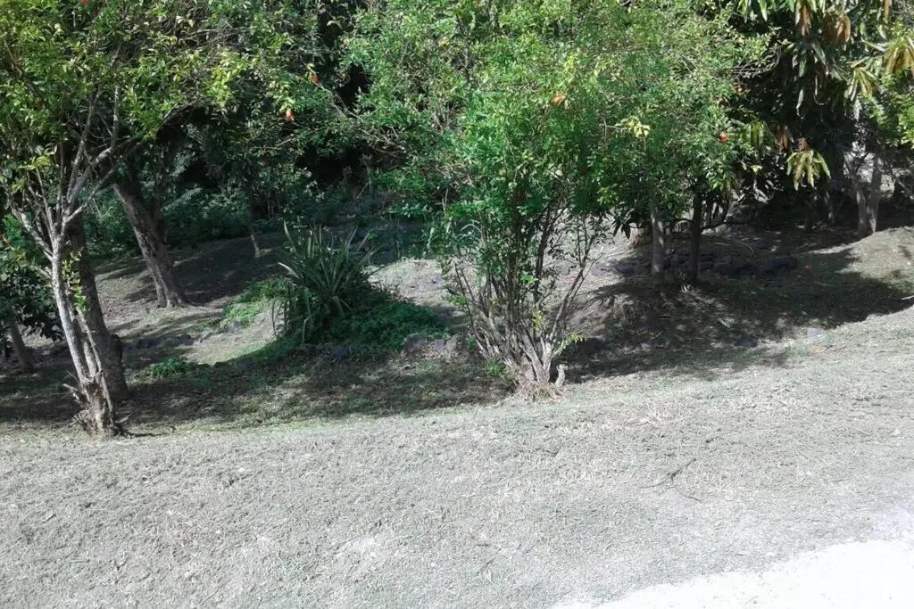 img_id_1305804.webp