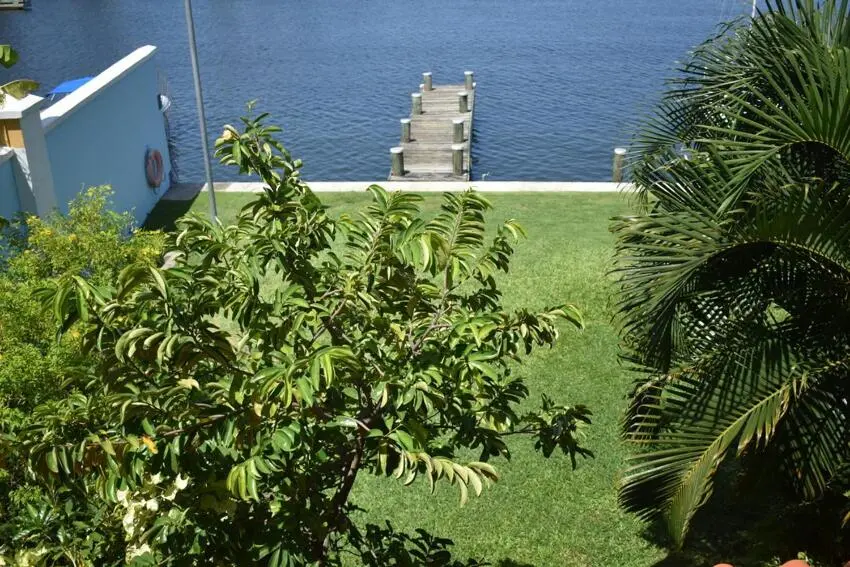 img_id_1305902.webp