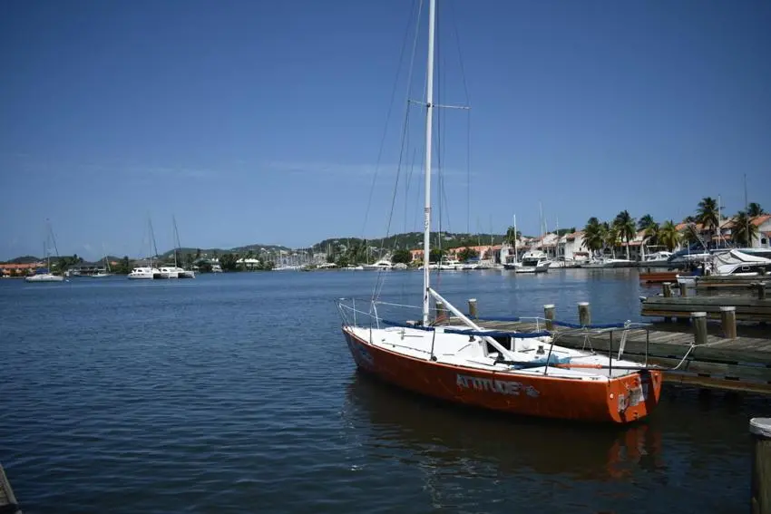 img_id_1305937.webp