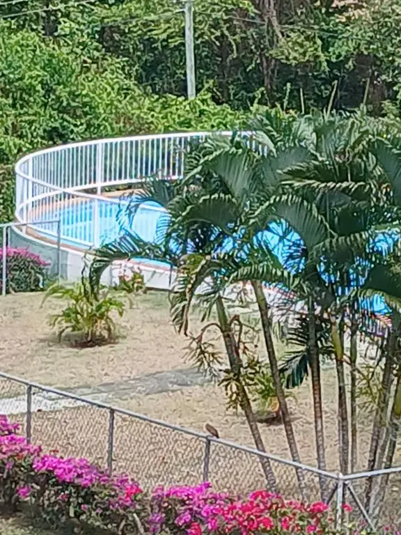 img_id_1307112.webp
