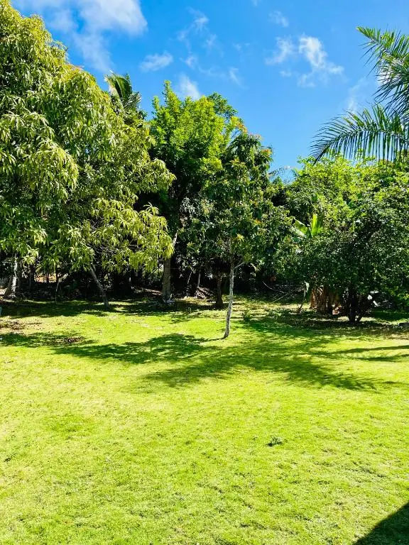 img_id_1322017.webp