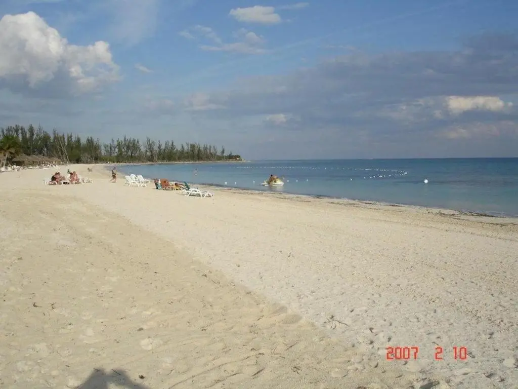 img_id_1322651.webp