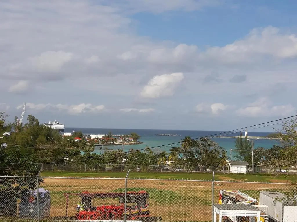 img_id_1323511.webp