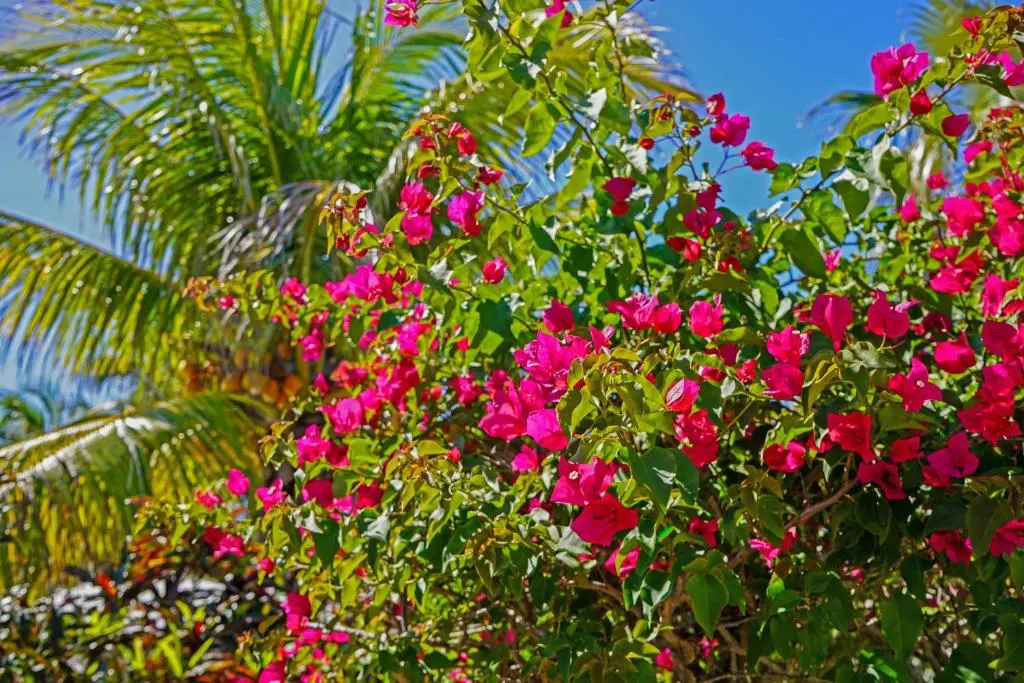 img_id_1326077.webp