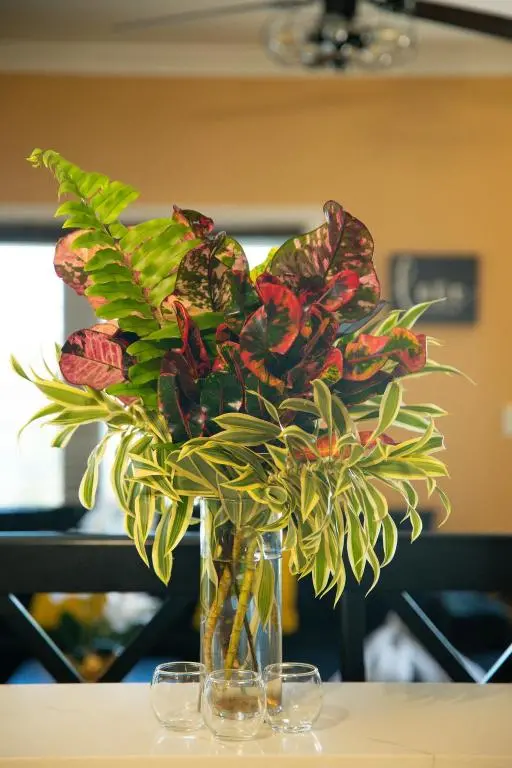 img_id_1329888.webp