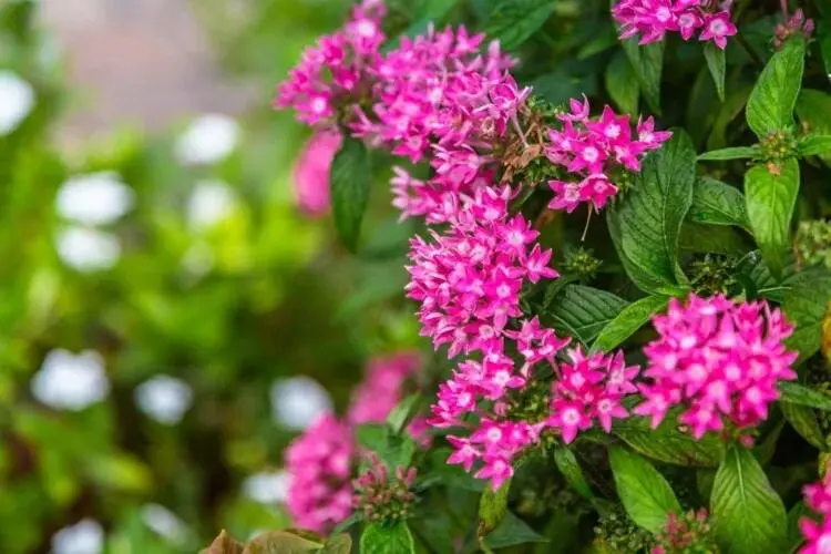 img_id_1334281.webp