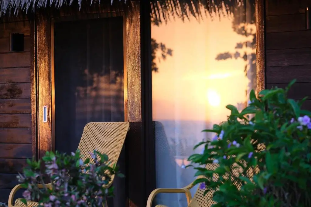 img_id_1370852.webp