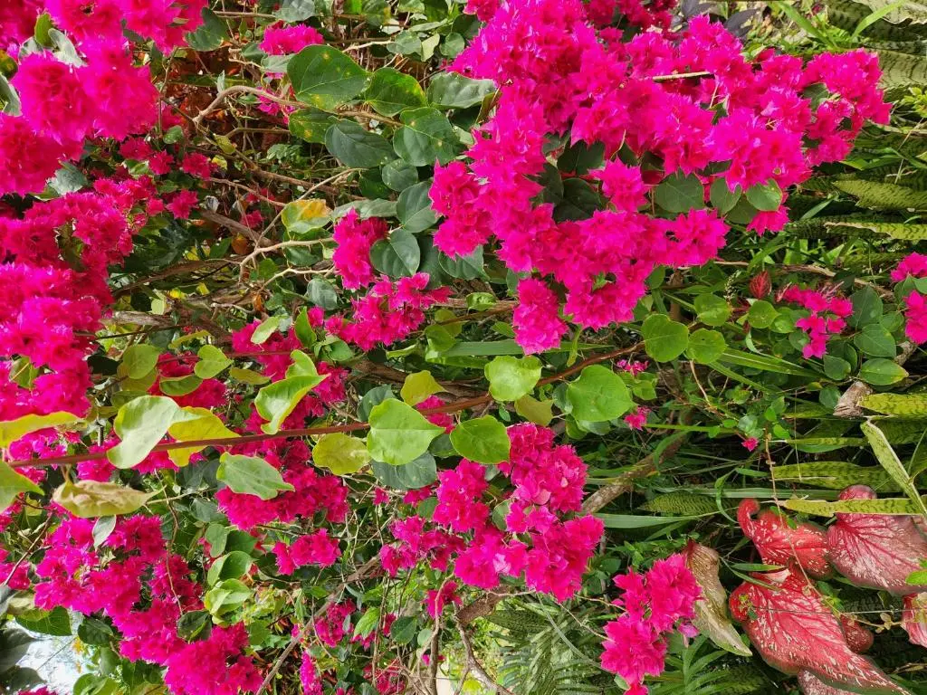 img_id_1378846.webp