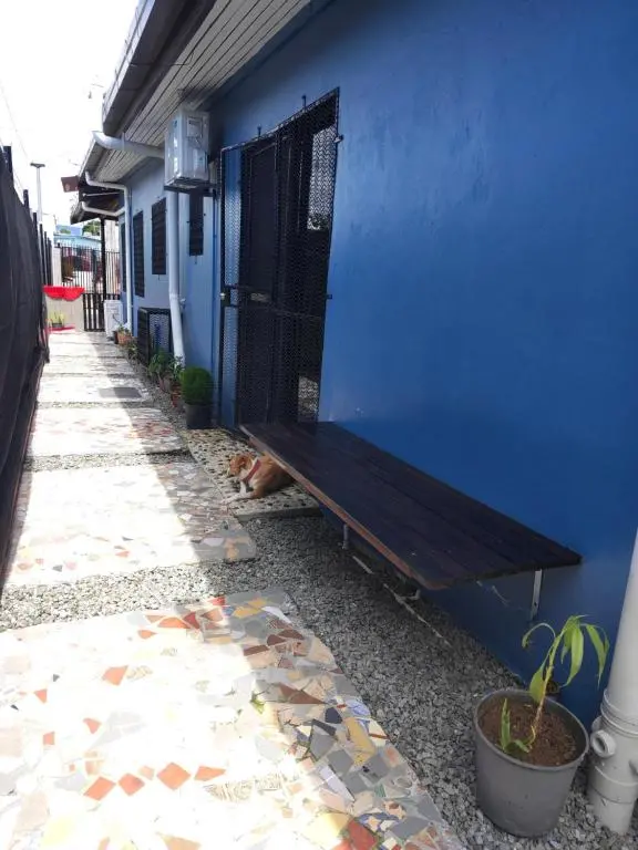 img_id_1384270.webp