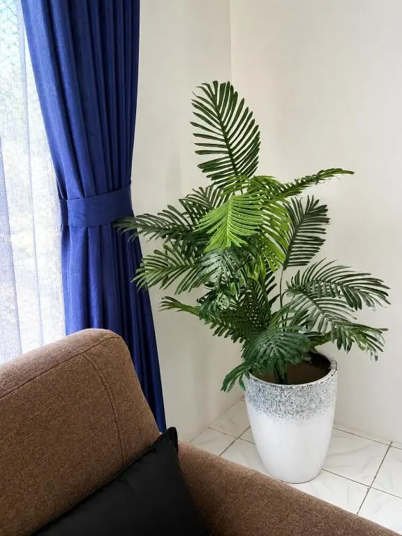 img_id_1403267.webp
