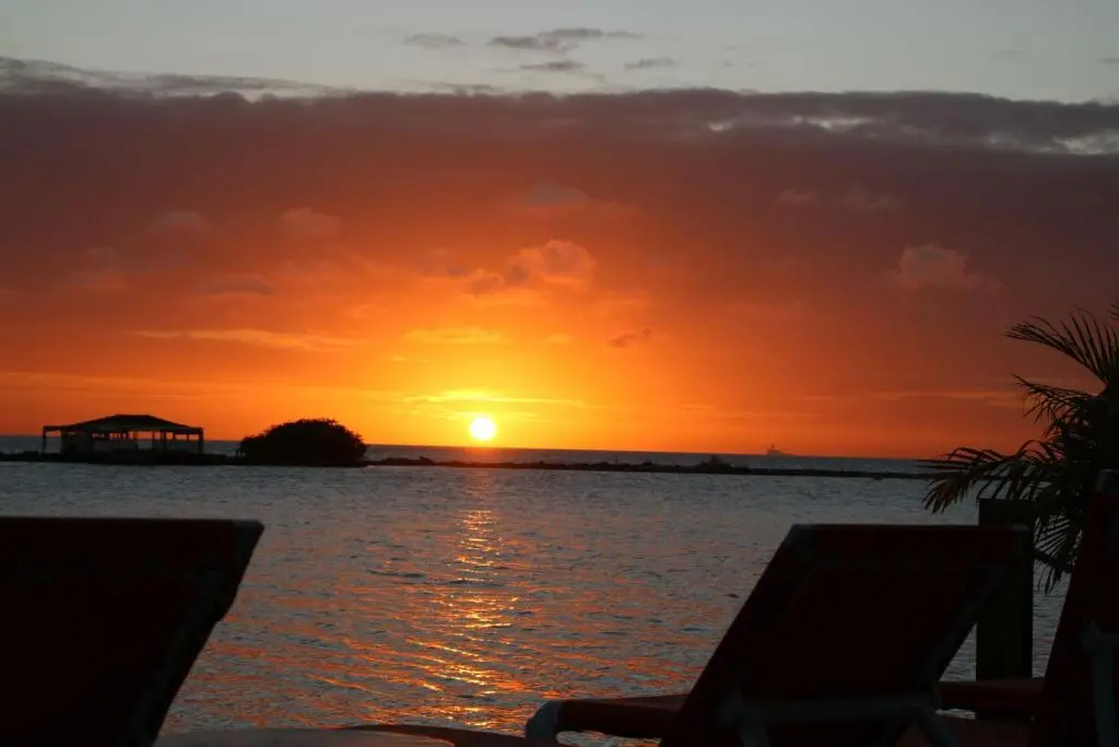 img_id_1432269.webp