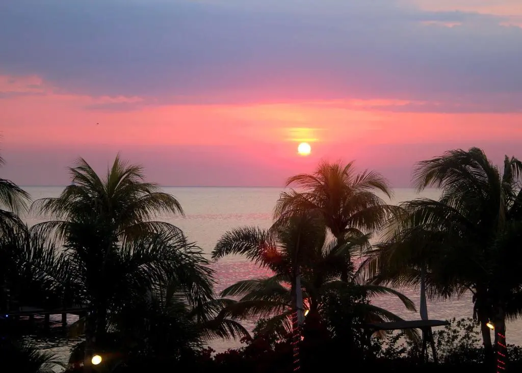 img_id_1432348.webp