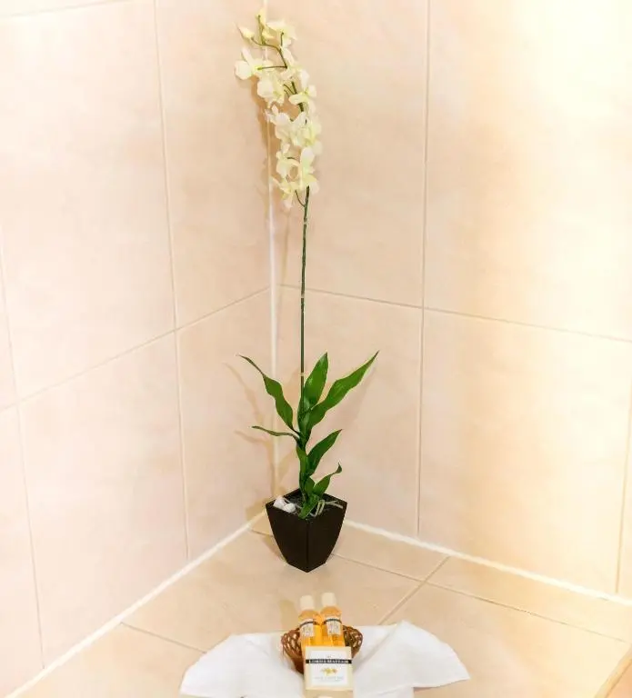img_id_1432349.webp