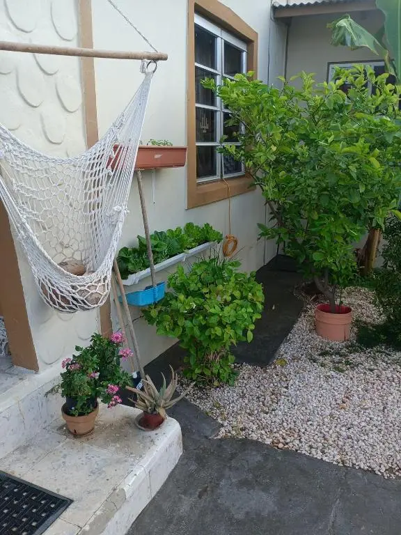 img_id_1441678.webp