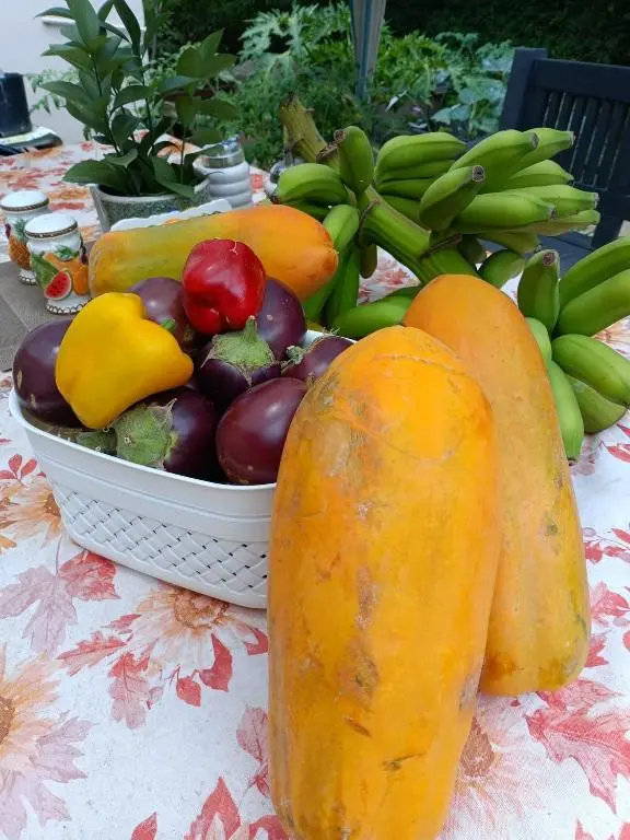 img_id_1441692.webp