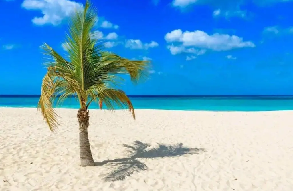 img_id_1445134.webp