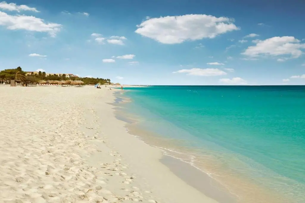 img_id_1445992.webp