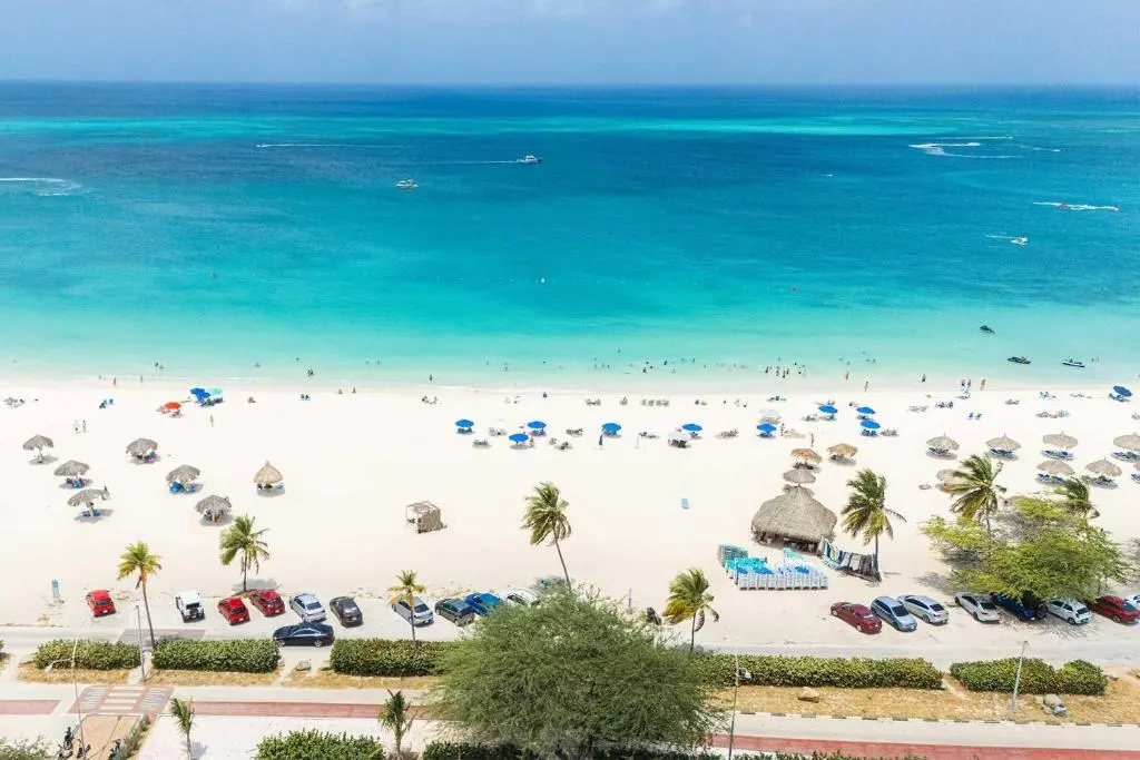 img_id_1446563.webp