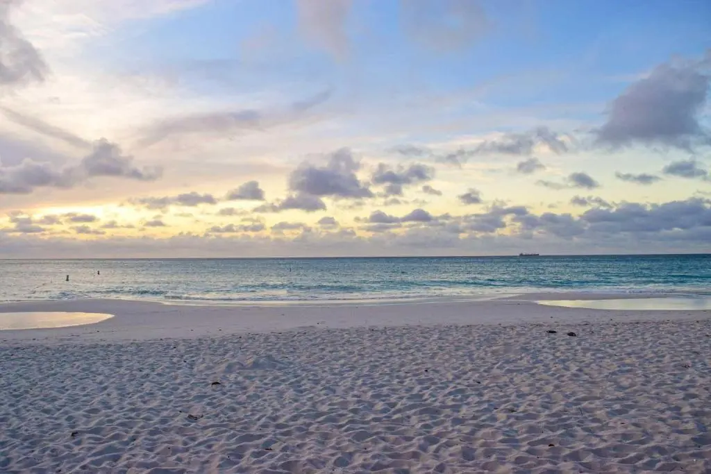 img_id_1446741.webp