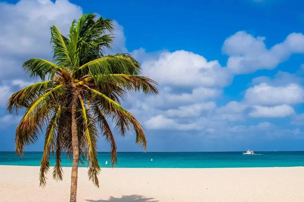 img_id_1446927.webp