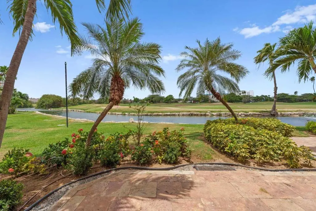 img_id_1447265.webp