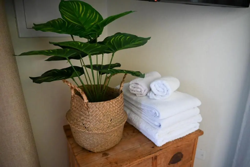 img_id_1454978.webp