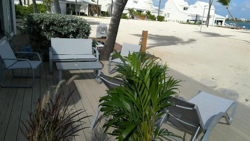 img_id_1458707.webp