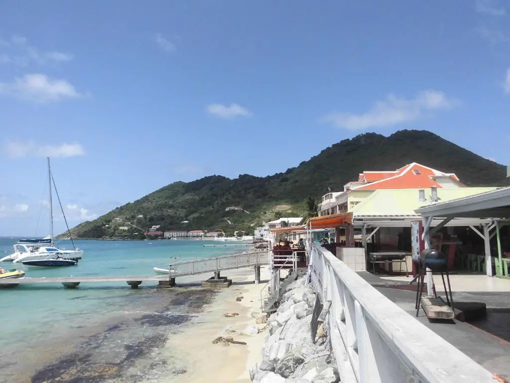 img_id_1459313.webp
