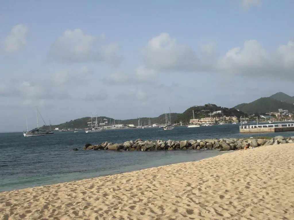 img_id_1459328.webp
