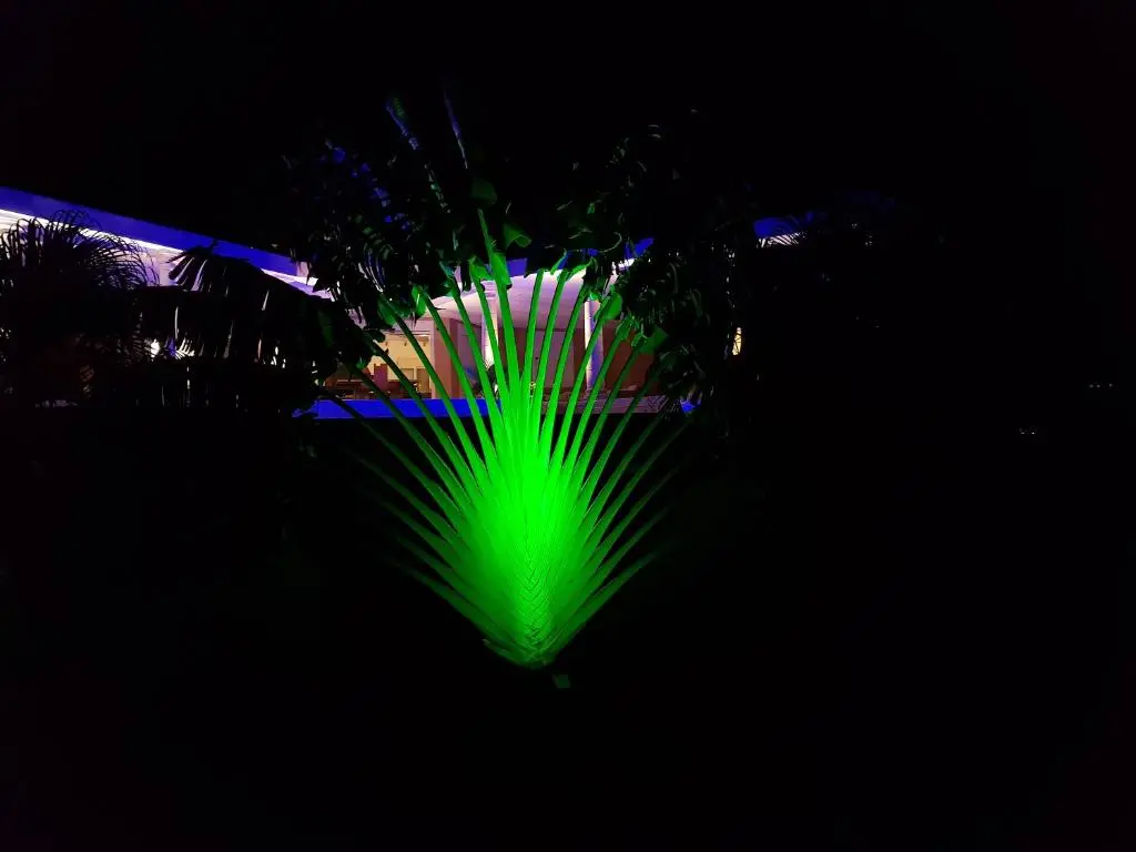 img_id_1462272.webp