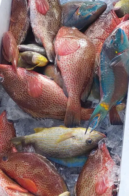 img_id_1470662.webp