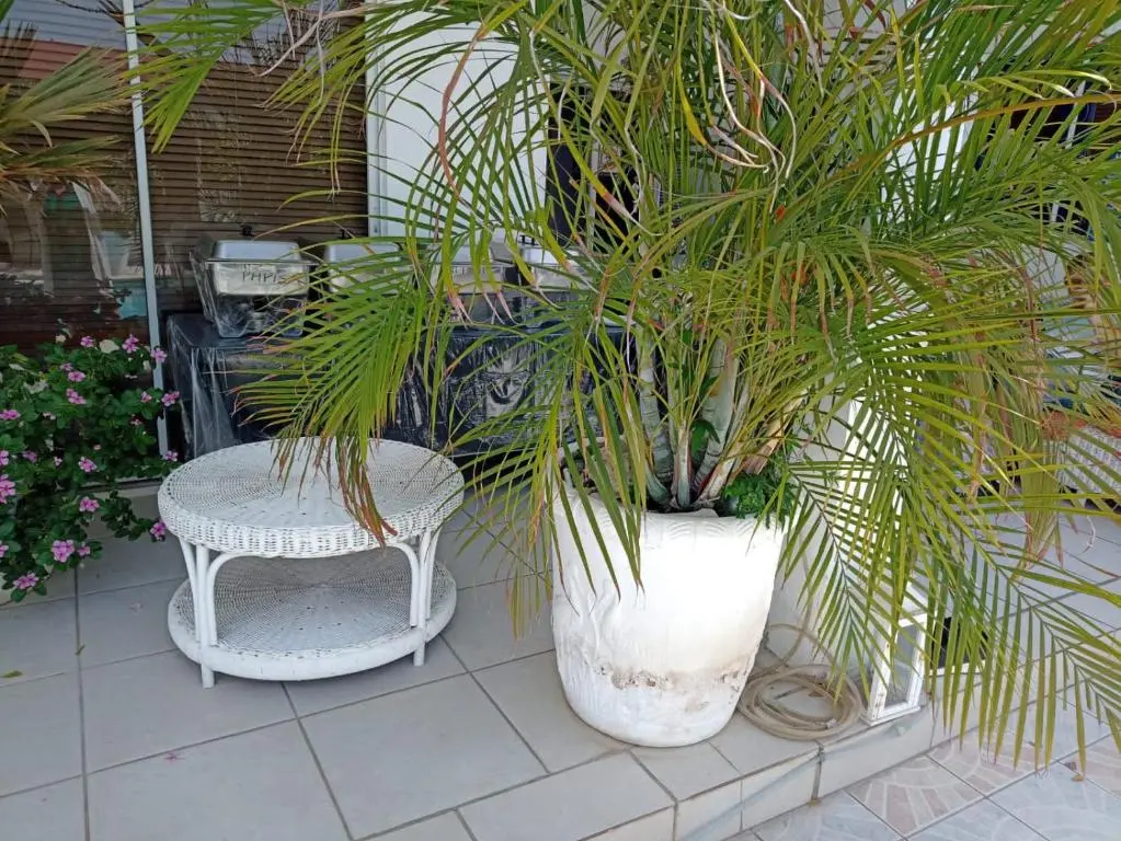 img_id_1471800.webp