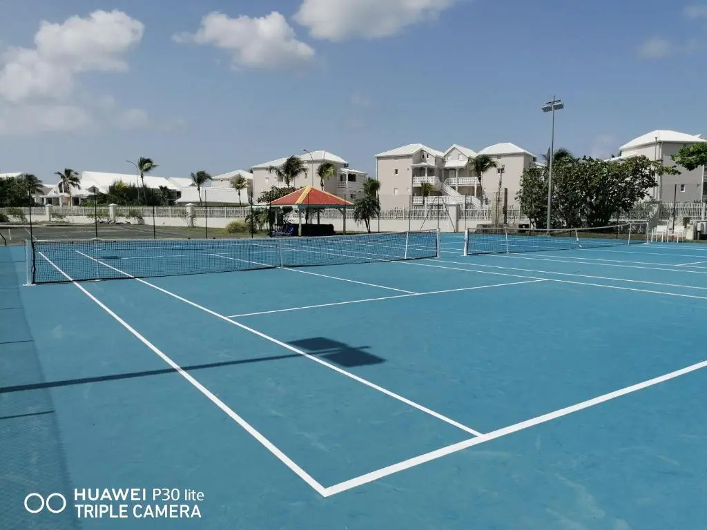 img_id_1482596.webp